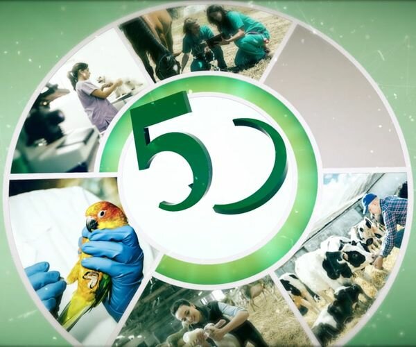 INSTITUCIONAL 50 ANOS - CFMV (CONSELHO FEDERAL DE MEDICINA VETERINÁRIA)